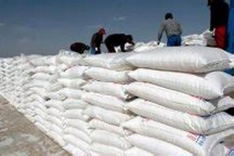 鱼蛋白肥料厂家前十名