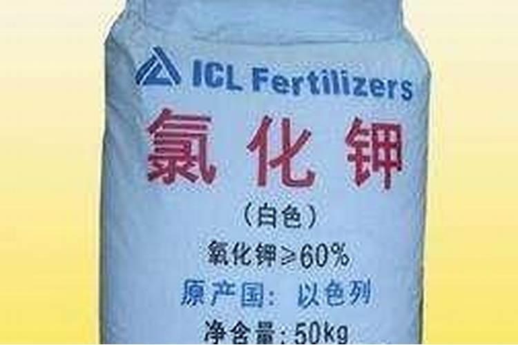 什么是大量元素？举例