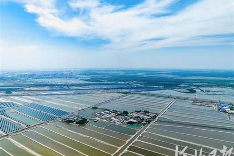 什么肥料可以治盐碱地 治盐碱地主要用什么方法