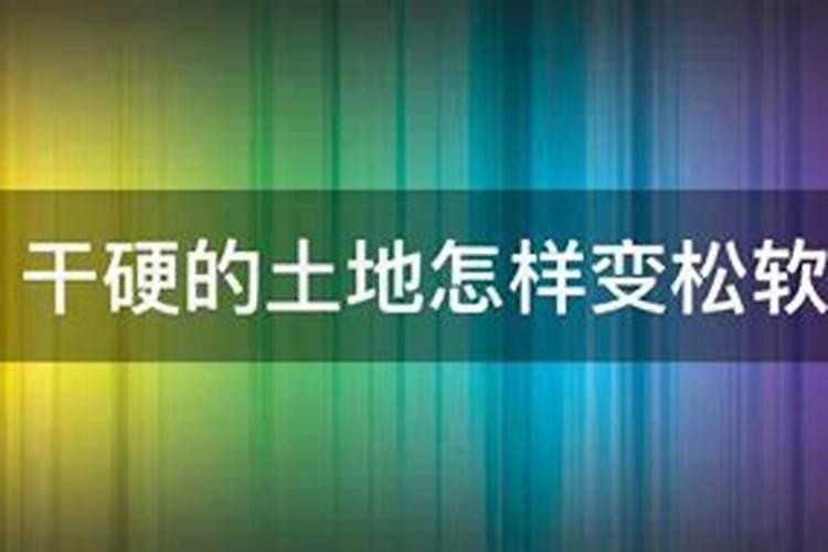 土壤太硬怎样变松散