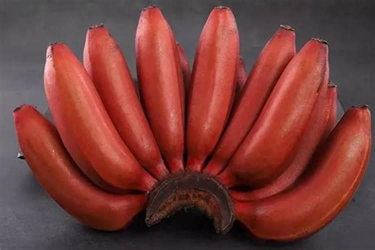 西瓜种植与施肥技术