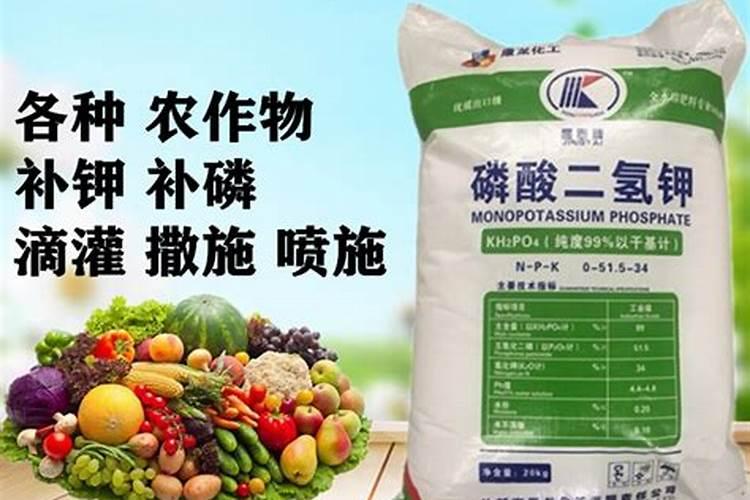花多多2号是什么肥(花多多2号的正确使用方法)