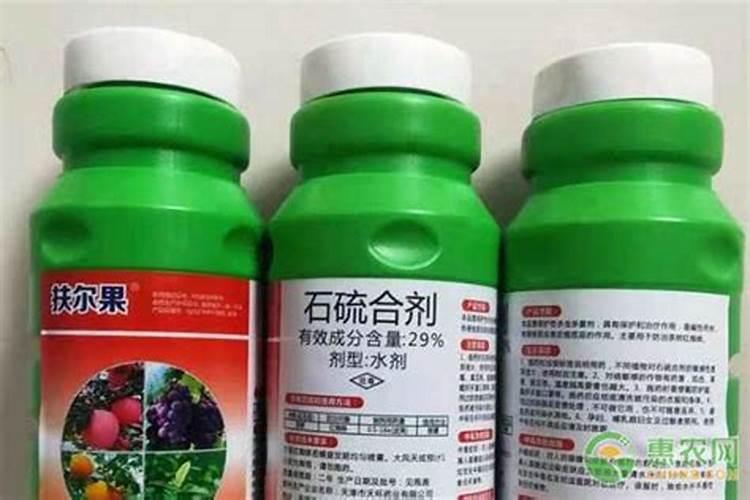 白掌有花苞了叶子需要喷水吗