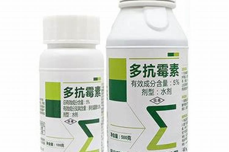 如何给植物补铁