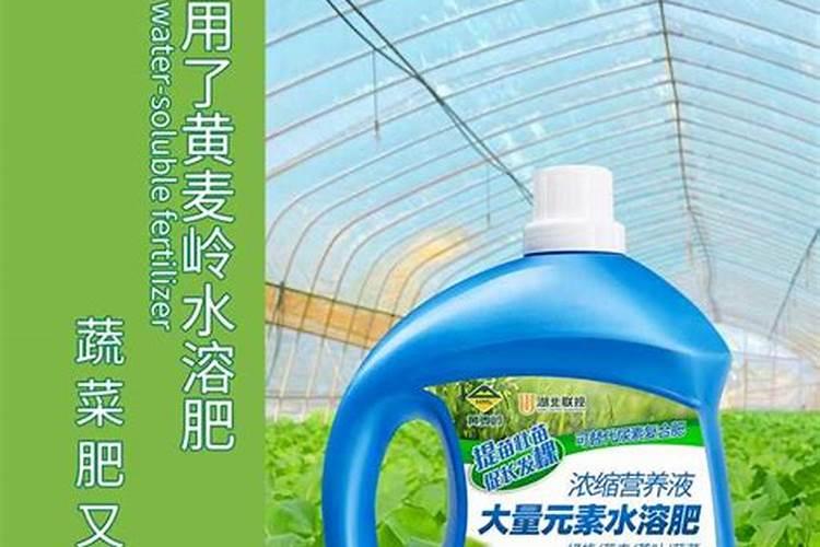 哪个厂家的水溶肥好