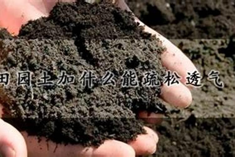 蝴蝶兰生长期怎么施肥开花多