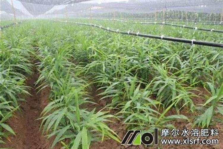 磷化工中的三废有哪些？ 如果善加利用有什么好？