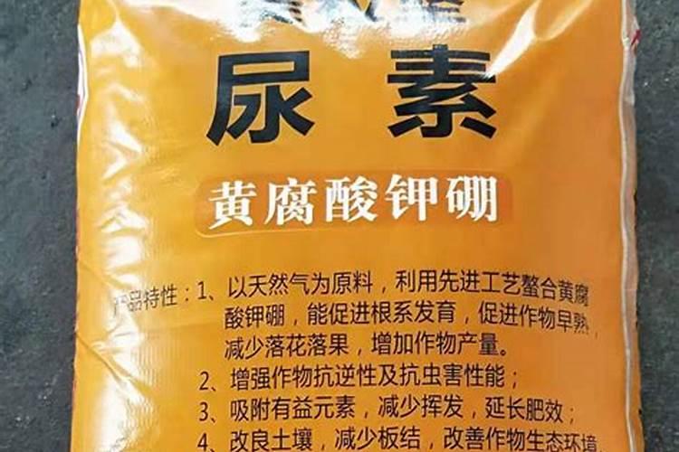 硅肥在大棚葡萄上什么时间用最好？