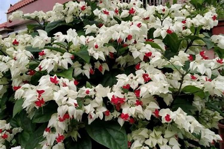 山东全福元商业集团下属企业