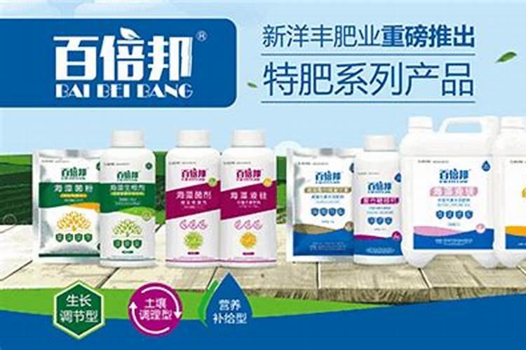 种植油菜该怎么施硼肥？