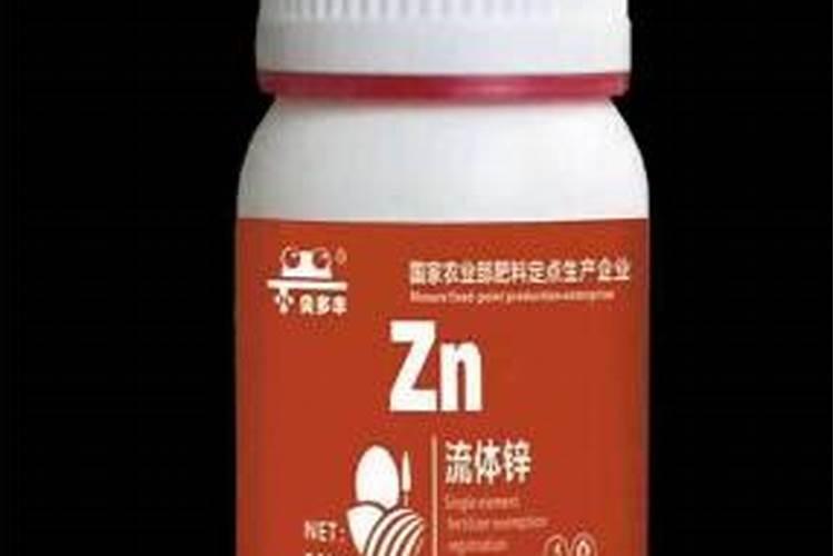 盆栽天堂鸟的养殖方法和注意事项