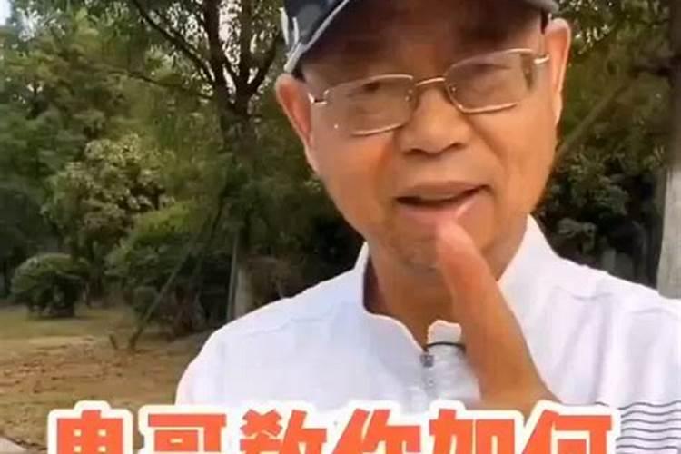 鱼蛋白有什么功效与作用？