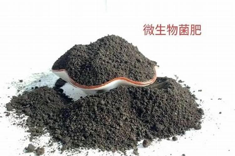 黄豆喜欢什么肥料