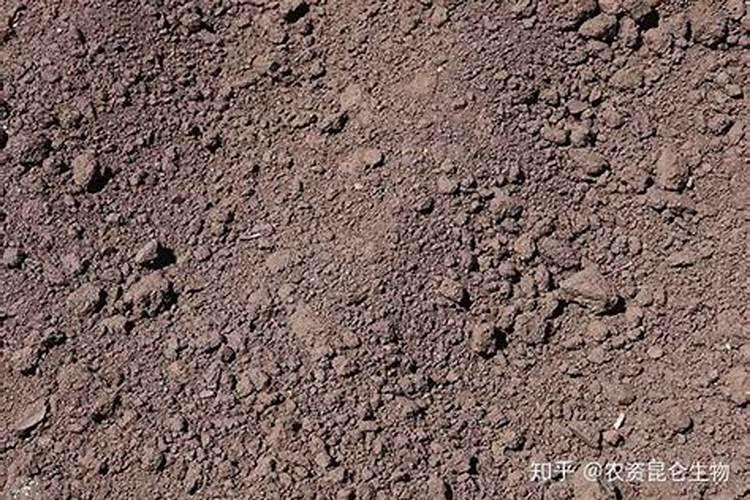 肥料厂化验员很辛苦吗