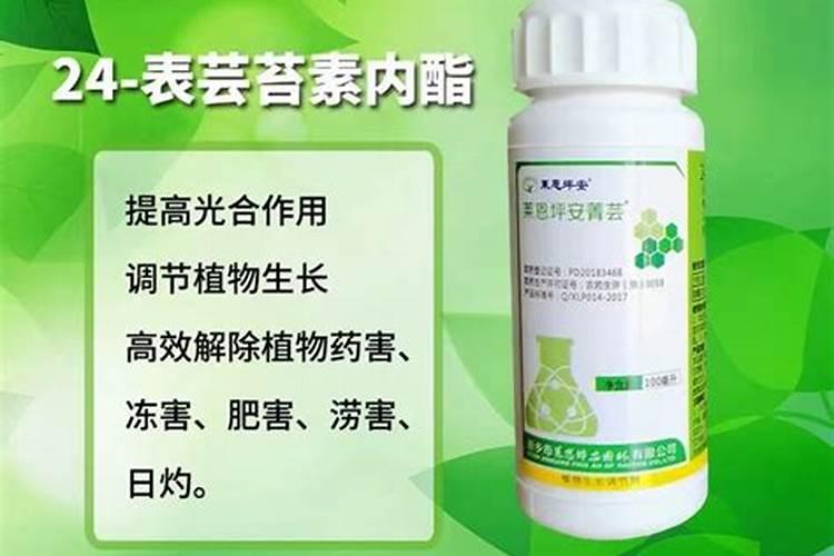 芸苔素内酯用什么配方好