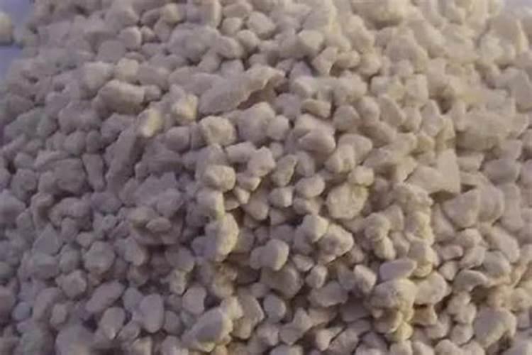 蟹爪兰可以浇白糖水吗