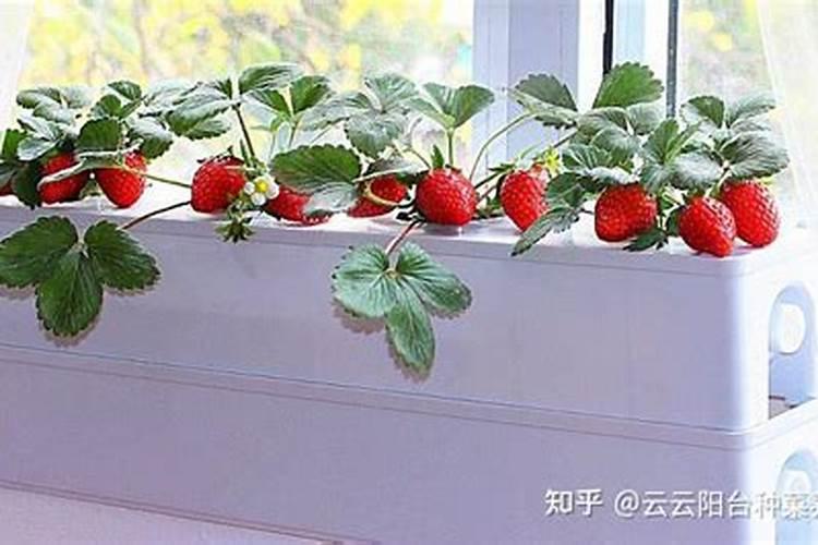 云图控股是个什么公司