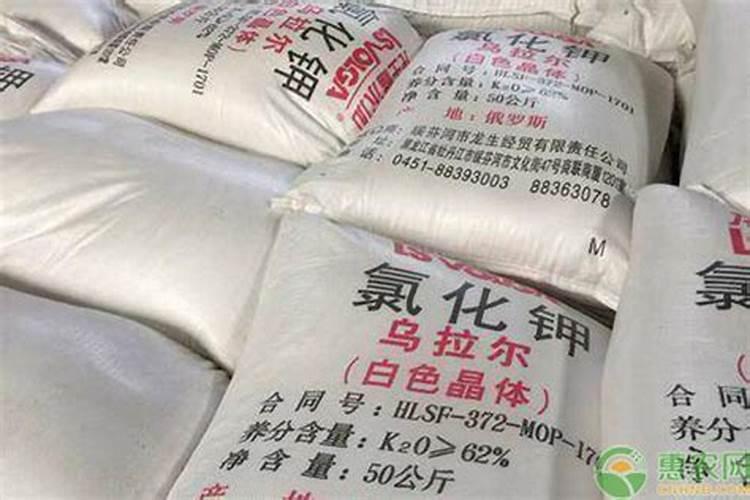 种草坪用什么化肥做底肥好