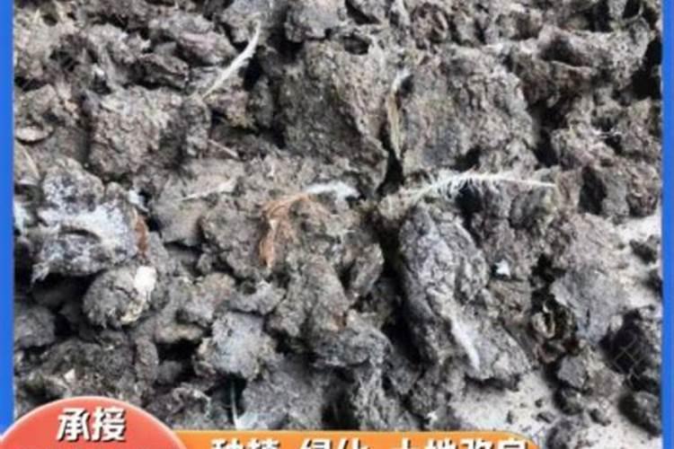 请问一下桂花可以用在土里做肥料吗？