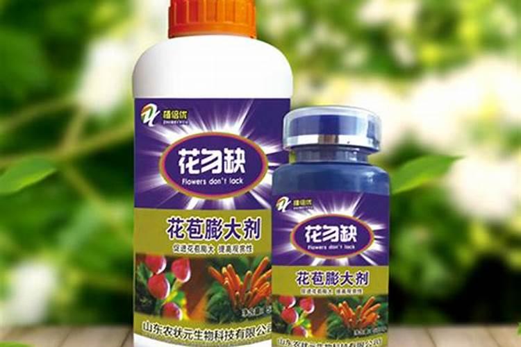 长寿花夏天怎么浇水 长寿花夏天如何浇水