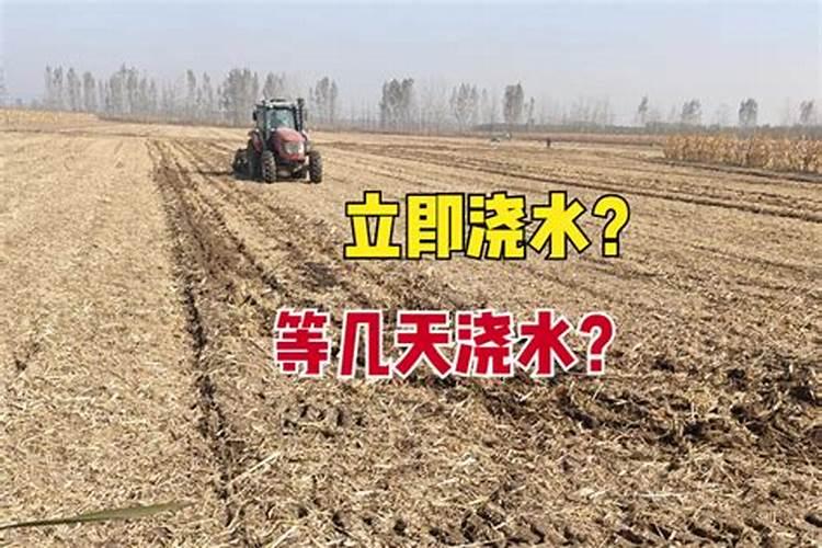 碳酸氢铵和尿素在性质,肥效和施用上有何不同