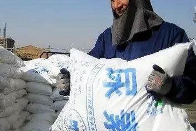 哪三个时间段是生石灰使用的大忌？