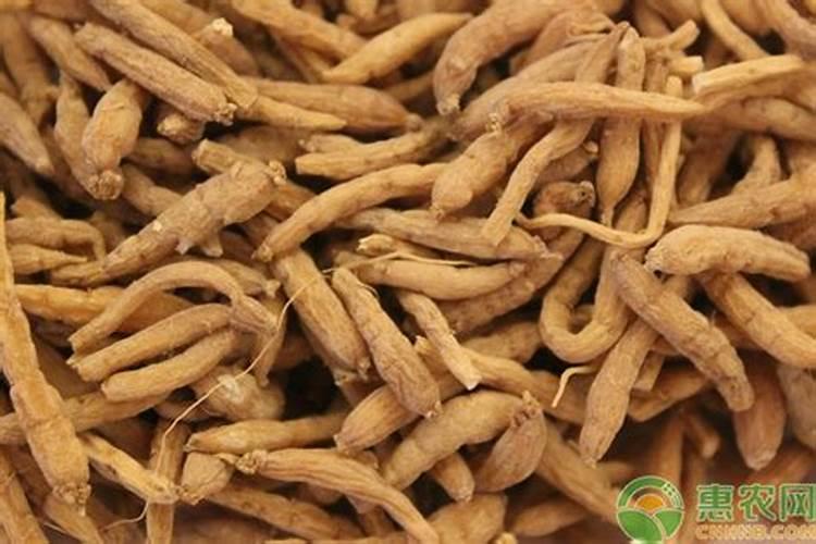 现在种植什么树最赚钱最快