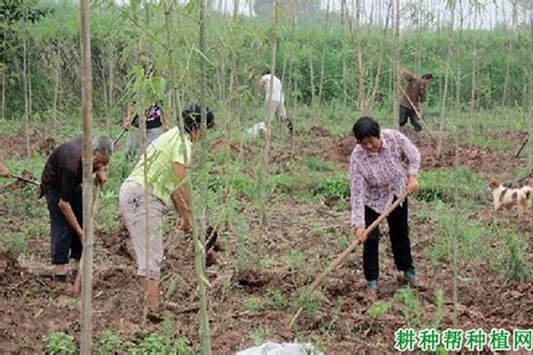 矿源黄腐酸钾水溶肥,黄腐酸钾黑金晶批发价格,矿源黄腐酸钾报价百度知...