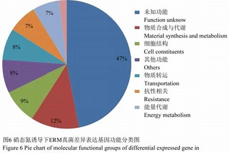 红薯钾肥使用技巧