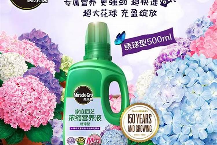 白粉病用什么药能治好