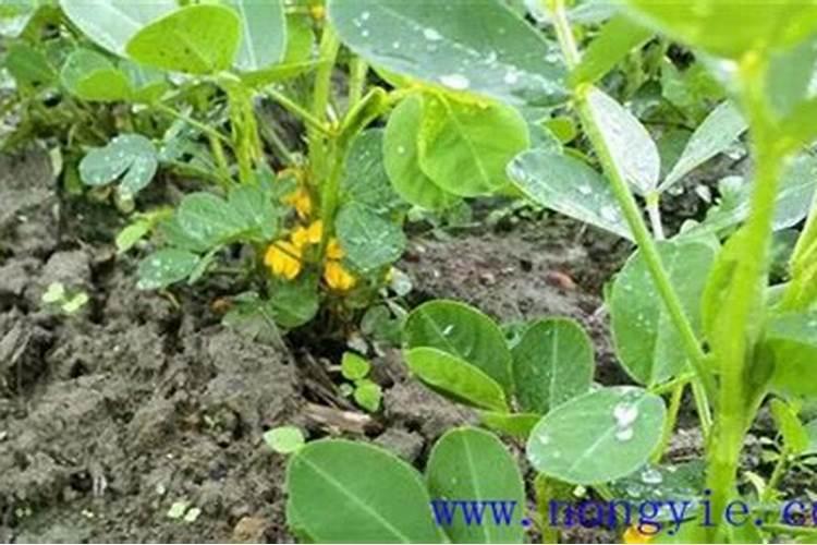 哪些食物含磷多？