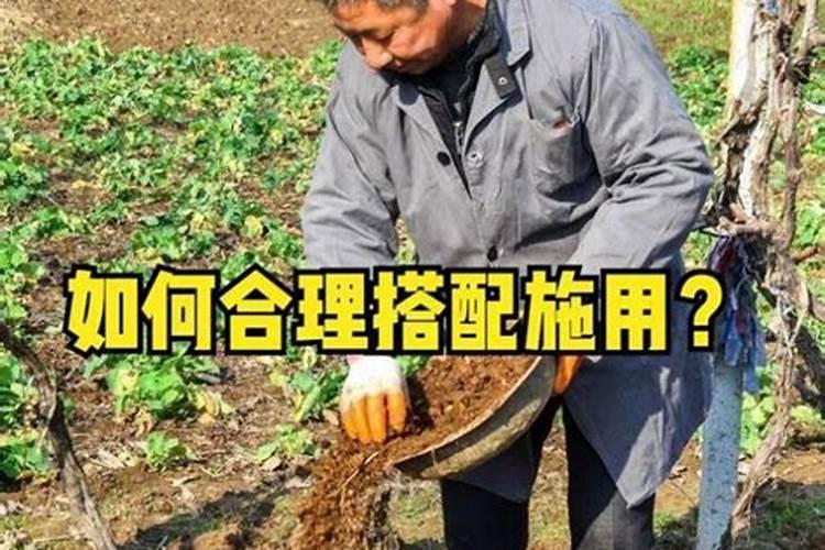 复合肥能直接撒吗