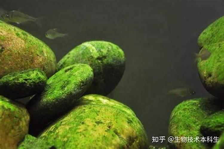 氟化工股票有哪些龙头股？