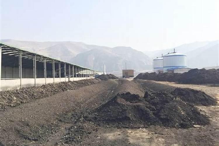 叶面肥哪个厂家最好