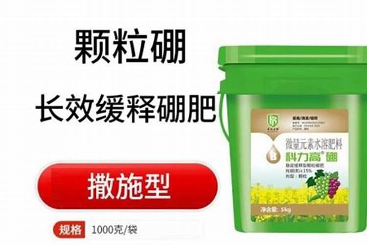 发财树如何施肥