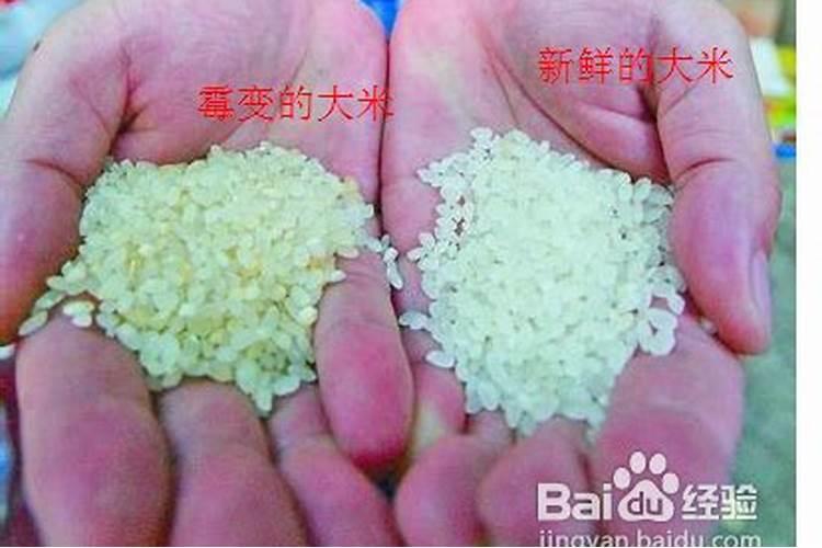 发霉的大米能做花肥吗 发霉的大米适合当花卉植物的肥料吗