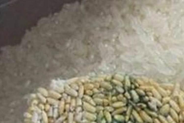 发霉的大米能挡花肥么,长毛了,不能吃了,能当肥料养花么