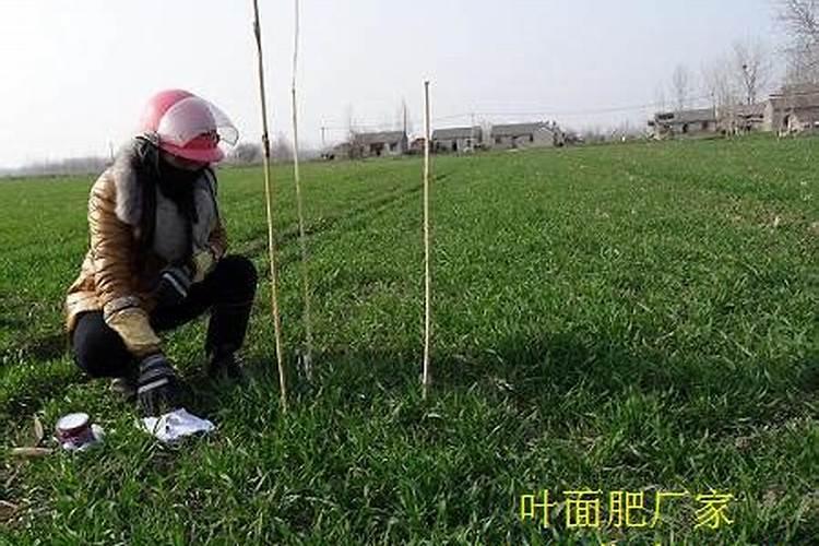 尿素水解条件是什么