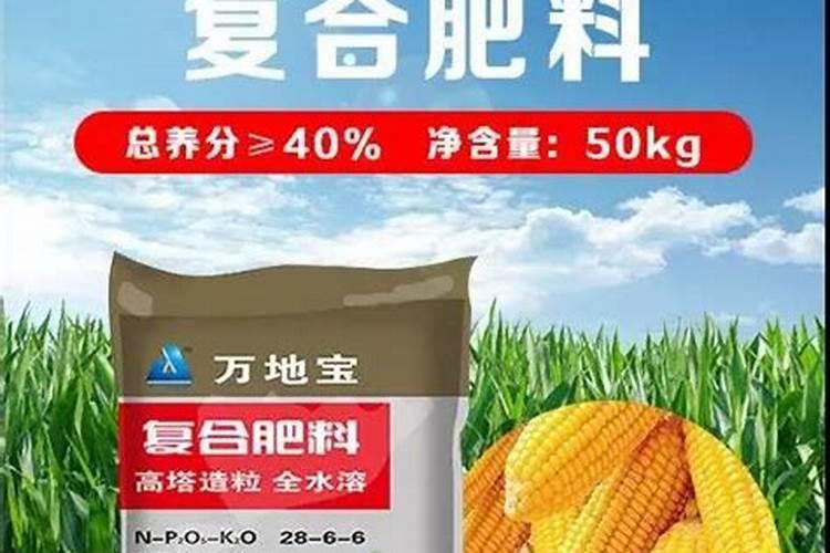 小麦冬季施肥时间施什么肥料 小麦冬季施肥的最佳时间冬天施什么肥