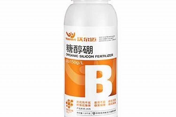 柑橘全年打药时间 什么时候打药好