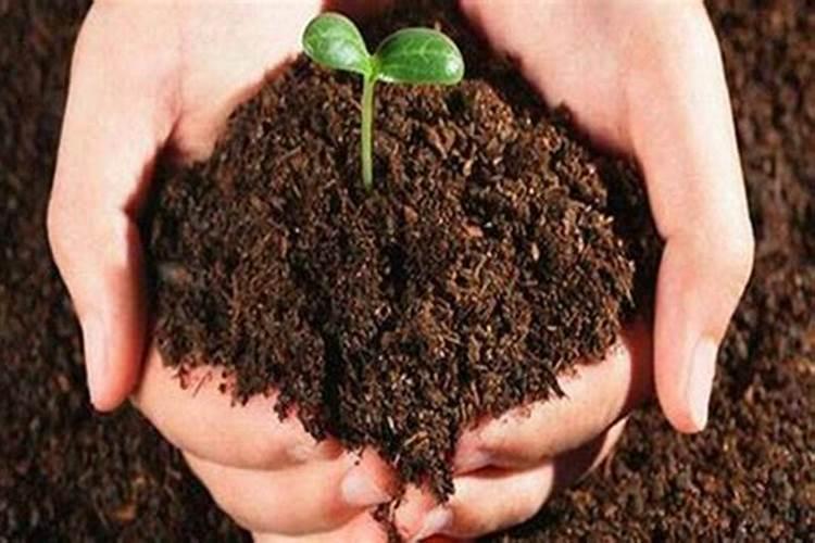 什么发型看起来有御姐范？