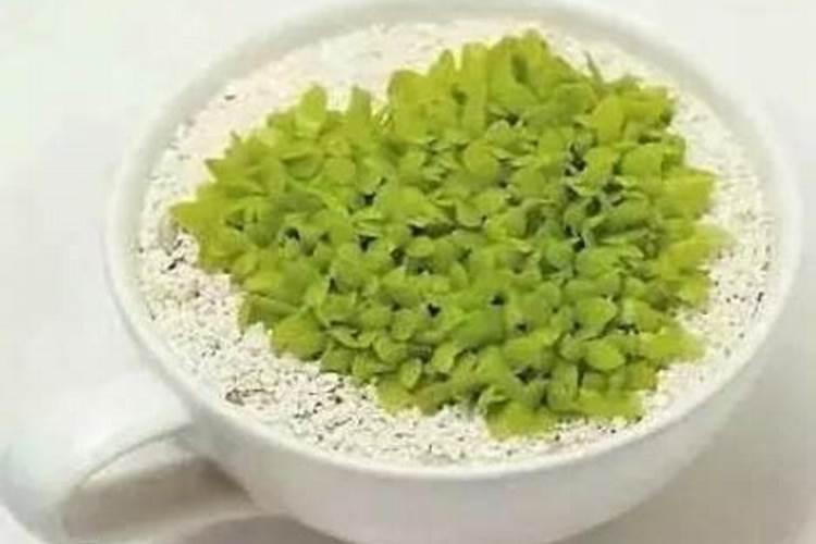 一次施肥过多,会导致植物出现“烧苗”现象,原因是