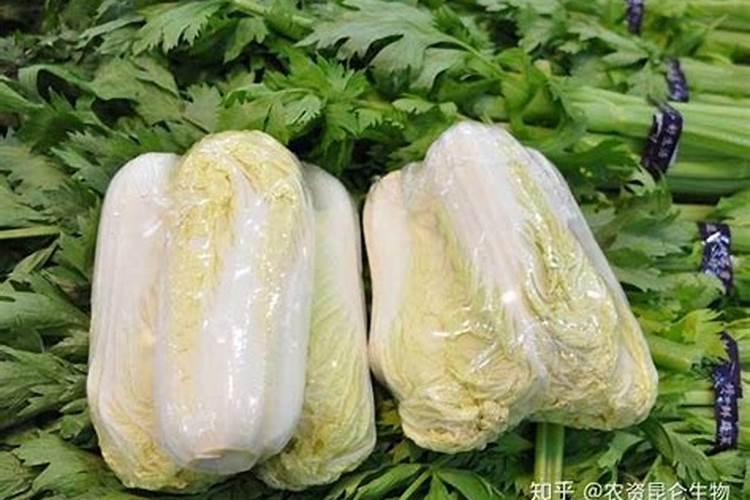 一亩地玉米究竟要施多少化肥