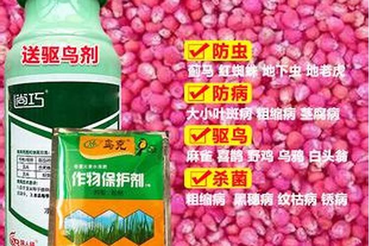 叶面肥什么时候打效果好