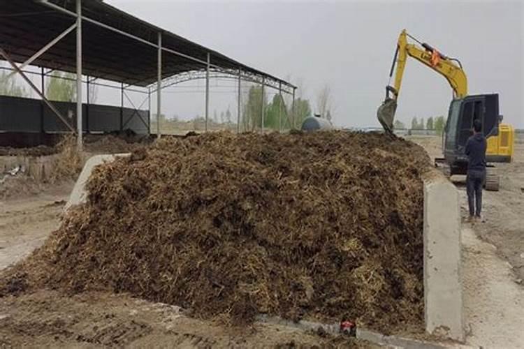 鱼蛋白和海藻精哪种好