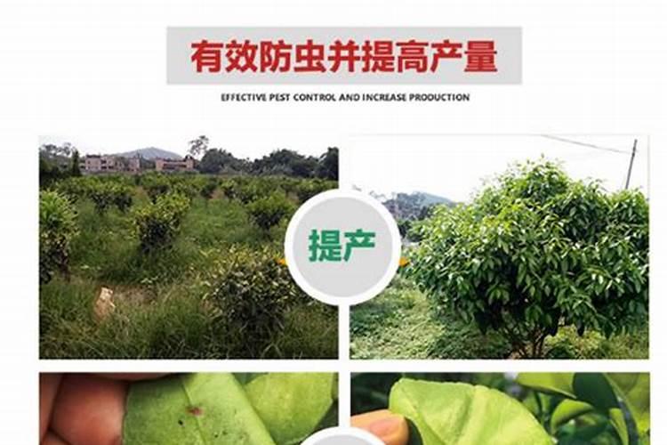 一亩地用多少硼肥