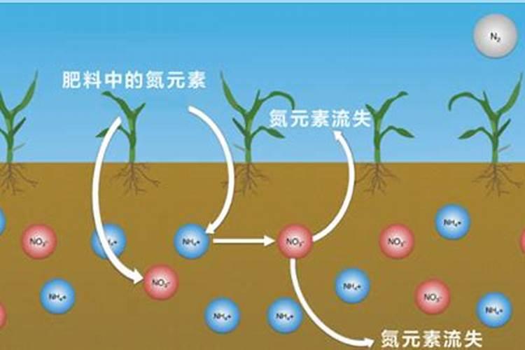 县级氮肥厂为什么倒闭了