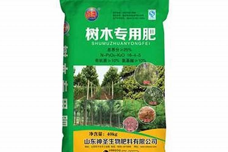 移栽大树如何施肥？