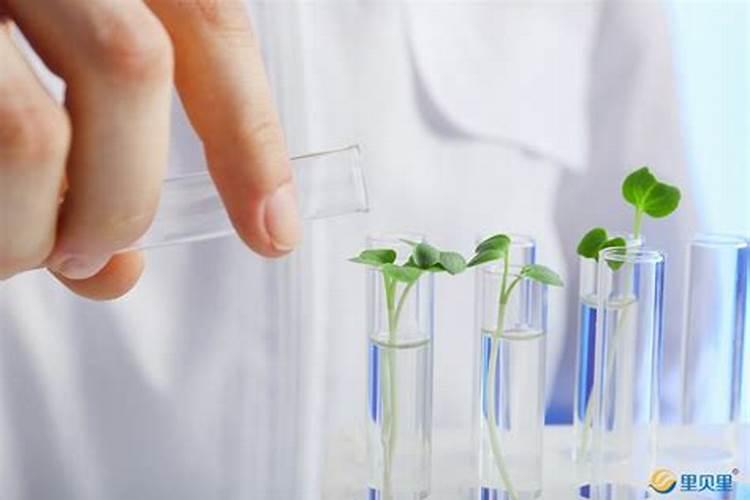 乔治？奥威尔 的 1984