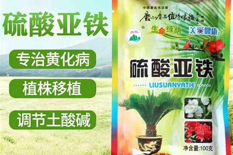 葱姜蒜先锋叶面肥效果好不好